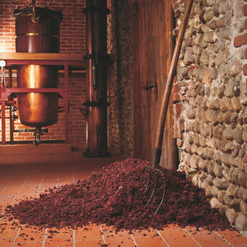vinaccia-grappa-distillerie-poli