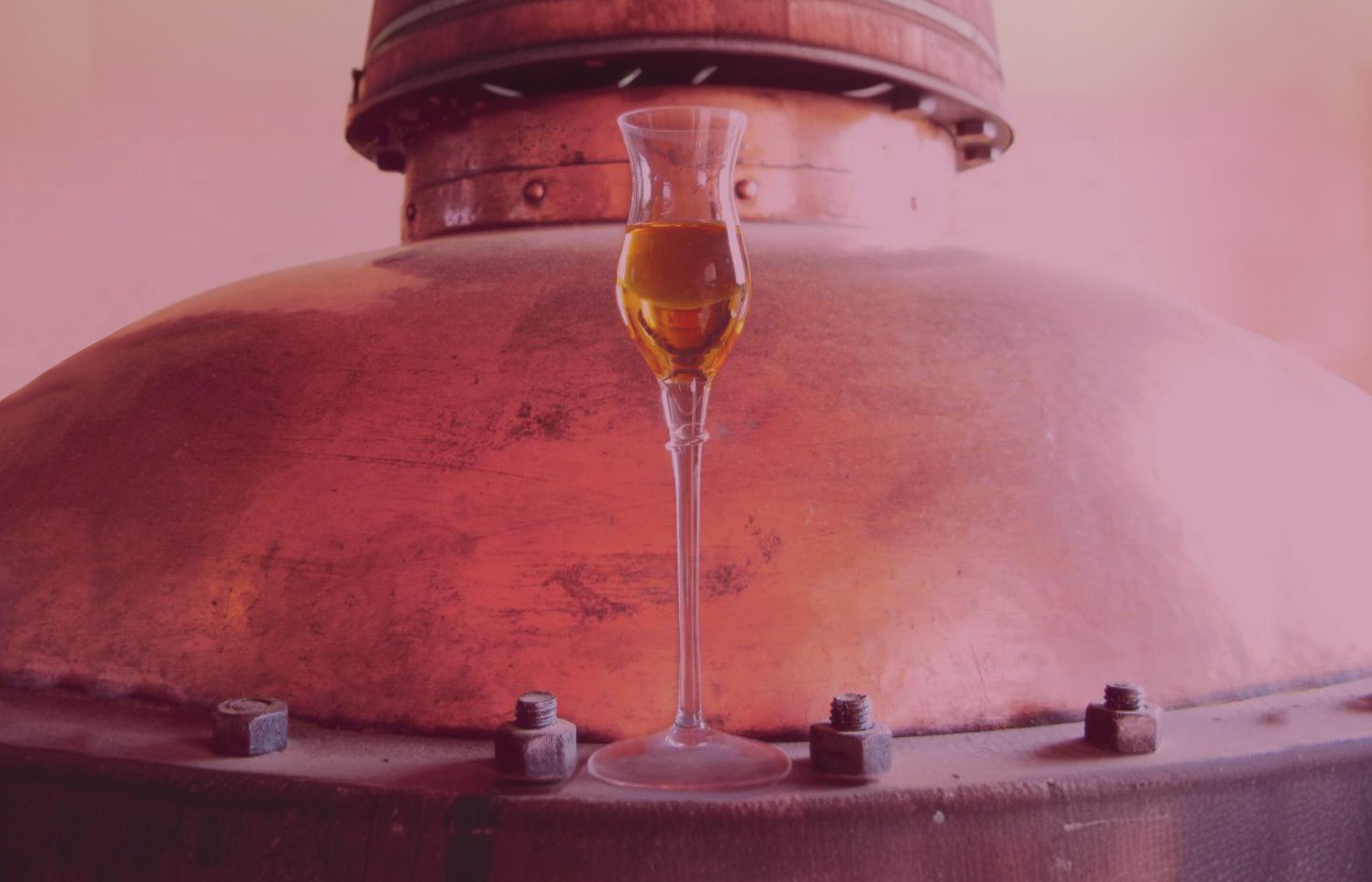 Grappa<br>is the only<br>italian spirit.